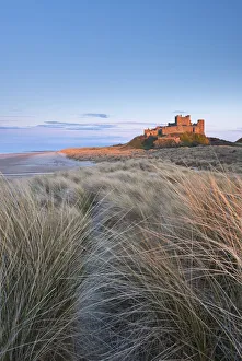 Northumberland Prints: Evening sunlight illuminates Bamburgh Castle, Northumberland, England. Spring (April)