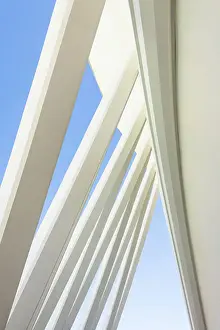 Shape Prints: The exterior details of the Museu de les Ciencies Principe Felipe (Principe Felipe Science Museum)