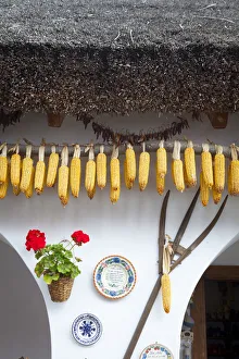 Central European Prints: Exterior of traditional Thatched House, Tihany, Hungary