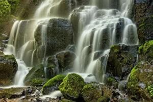 Cascading Collection: Fairy Falls, Columbia River Gorge, Oregon, USA