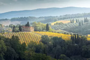A fairytale-like view of the Tuscany hills, with vineyards and cypress trees everywhere