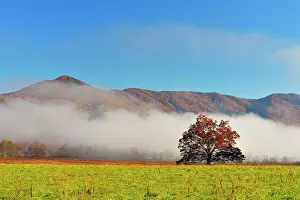 Habitats Prints: Fall colour in misty Cades Cove, Great Smoky Mountains NP, Tennessee, USA