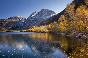 Sierra Nevadas Prints: Fall colours along the banks of Silver Lake, with Mt Carson beyond, Sierra Nevadas