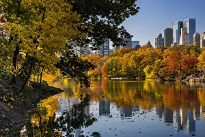 Fall foliage at Central Park, Manhattan, New York, USA