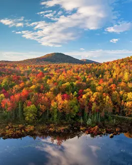Fall Colors Prints: Fall foliage on hillside at Turtlehead Pond, Marshfield, Vermont, USA