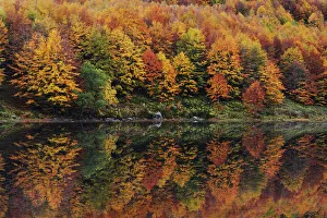 Appennino Centrale Prints: Fall reflection at the Lago Baccio, Central Appennines, Emilia Romagna, Italy