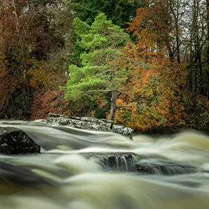 Rapids Prints: Falls of Dochart in Autumn, Killin, Perthshire, Scotland