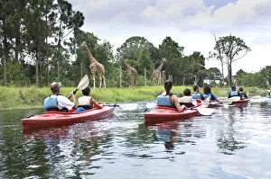 Families Kayaking on River, Giraffes, Expedition Africa Kayaking Tour, Brevard Zoo