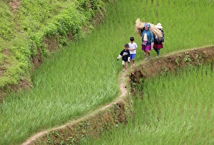 Edge Prints: Family walking on the edge of a rice terrace, Tu Le, Yen Bai Province, Vietnam