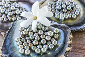 Jewellery Collection: Famous black pearls of Tahiti, Rangiroa atoll, French Polynesia