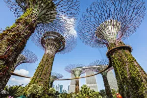 Images Dated 22nd February 2018: The famous Supertree grove at Gardens by the Bay, Singapore