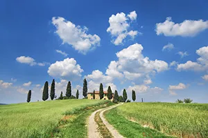 Farm house with cypresses - Italy, Tuscany, Siena, Val d Orcia, Pienza