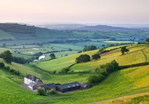 Farm nestled in the Exe valley overlooking the River Exe, Devon, England. Summer
