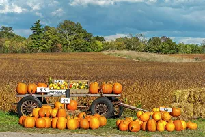 Produce Prints: Farm produce for sale in a roadside stand, Thornton, Ontario, Canada
