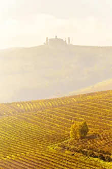 Province Of Cuneo Prints: Farmhouse in the fog with autumn colors in the vineyards