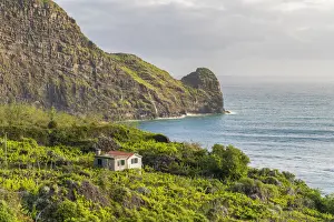 Faial Prints: Farmhouse surrounded by fruit plantations and Clerigo Point in the background. Faial