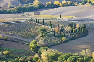 A farmhouse surrounded by vines and ploughed fields in the autumn, Montepulciano