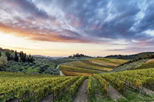 Farmhouse surrounded by vineyards at sunrise. Gaiole in Chianti, Siena province, Tuscany