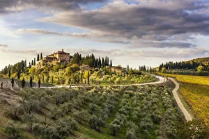 Rolling Hills Prints: Farmhouse surrounded by vineyards at sunrise. Gaiole in Chianti, Siena province, Tuscany