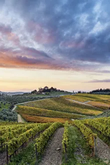 Images Dated 30th May 2018: Farmhouse surrounded by vineyards at sunrise. Gaiole in Chianti, Siena province, Tuscany