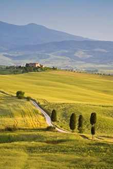Farmhouse, Val d Orcia, Tuscany, Italy