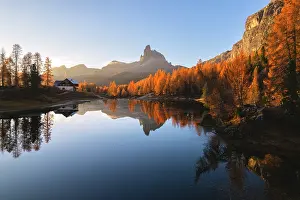 Larch Prints: Federa lake Aerial view in autumn