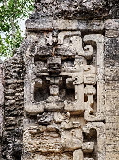Masks Prints: Feline frontal mask stacks at Structure II