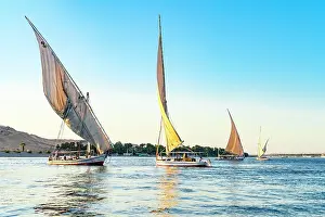 Navigation Prints: Felucca sail boats on River Nile, Aswan, Egypt