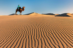 Dunes Prints: Female camel herder sat on a camel in the Khongor Dunes, Gobi Desert, Mongolia, Asia