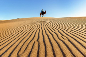 Gobi Desert Prints: Female camel herder sat on a camel in the Khongor Dunes, Gobi Desert, Mongolia, Asia