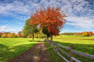 Lane Prints: Fence and road in autumn, Plymouth, Massachusetts, USA