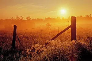 Fence Prints: Fence at sunrise in fog Estaire, Ontario, Canada