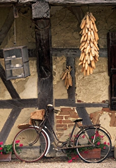 French Wine Regions Gallery: Ferme de la Foret, St