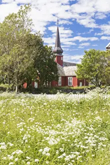 Flakstad Prints: Field of blooming flowers frame the typical wooden church Flakstad Lofoten Islands