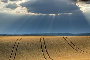 Field with crops and dramatic sky near Vrbice, Breclav District, South Moravian Region