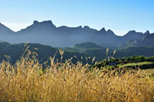 A field of rye at sunset with the mountain range of Pitoes das Junias in the background A field of rye at sunset with the mountain range of Pitoes das Junias in the background