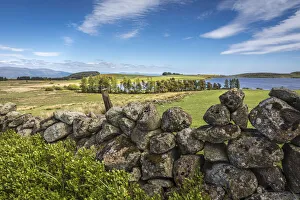 Stirling Prints: Field stone wall at Loch Coulter south of Stirling, Stirling, Scotland, Great Britain