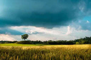 Fields of Friuli in a stormy spring day, Udine province, Friuli Venezia-Giulia region