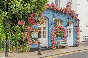 Chelsea Prints: The Fifty Cheyne pub, Chelsea, London, England, UK