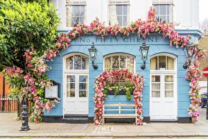 Images Dated 20th July 2022: The Fifty Cheyne pub, Chelsea, London, England, UK