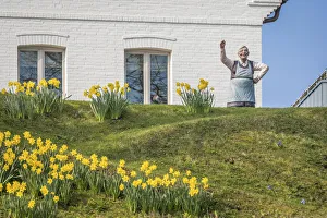 Daffodil Prints: Figure old farmer`s wife in Keitum, Sylt, Schleswig-Holstein, Germany