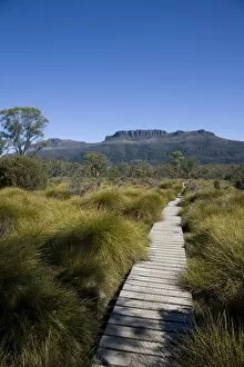 Central Highlands Gallery: The final stretch of the Overland track to Narcissus Hut