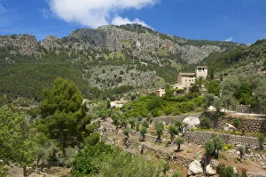 Images Dated 8th February 2012: Finca near Soller, Majorca, Balearic Islands, Spain