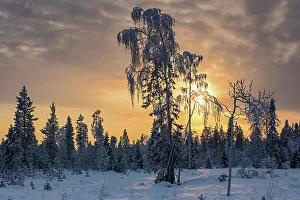 Finland, Lapland, Akaslompolo
