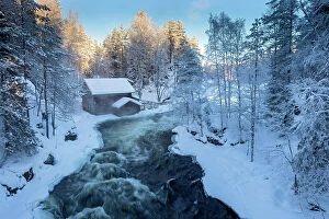 Images Dated 7th August 2023: Finland, Lapland, Myllytupa, Oulanka National park