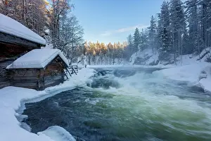 Lappland Prints: Finland, Lapland, Myllytupa, Oulanka National park