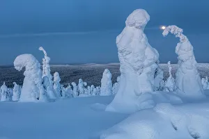 Finland, Lapland, Riisitunturi National Park