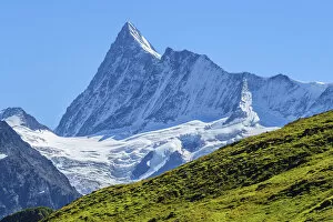 Images Dated 1st September 2021: Finsteraarhorn, Grindelwald, Berner Oberland, Canton Berne, Switzerland