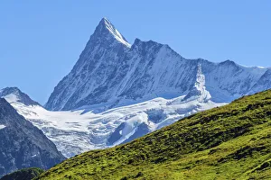 Images Dated 1st September 2021: Finsteraarhorn, Grindelwald, Berner Oberland, Canton Berne, Switzerland