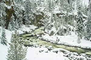 Carvings Prints: Firehole River in winter, Yellowstone National Park, Wyoming, USA